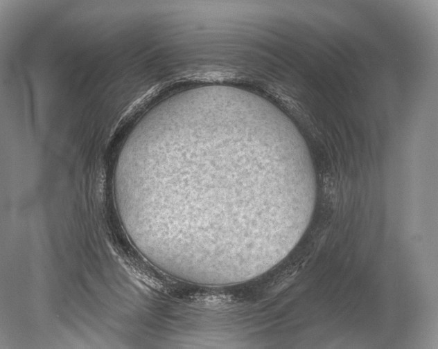 X0000078830304200612041820