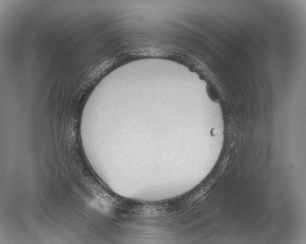 X0000078830305200612041820