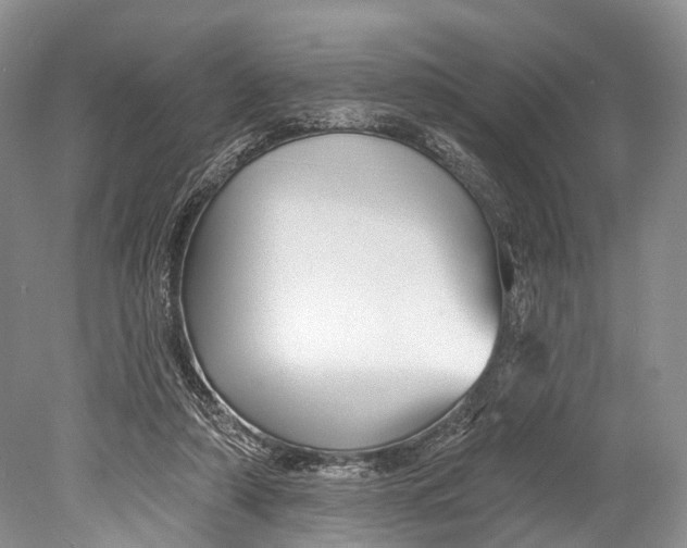 X0000078830306200612041820