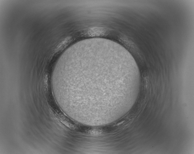 X0000078830308200612041820