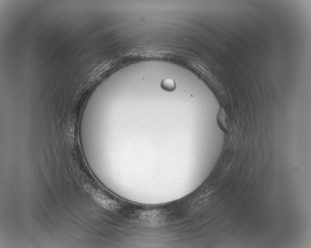 X0000078830309200612041820