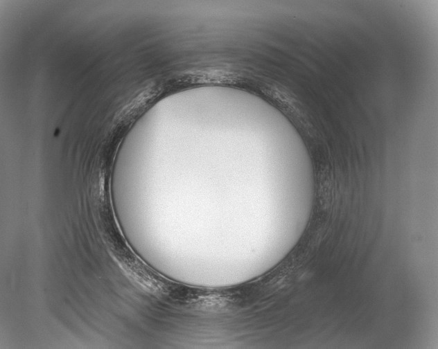 X0000078830310200612041820