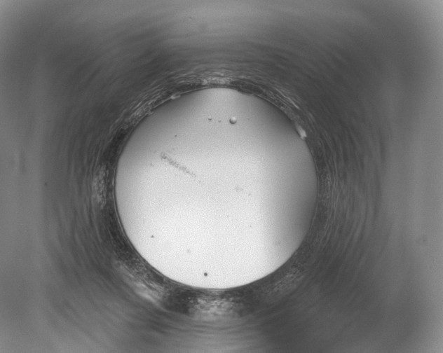 X0000078830311200612041820