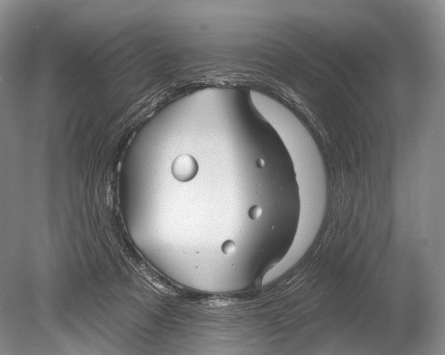 X0000078830313200612041820