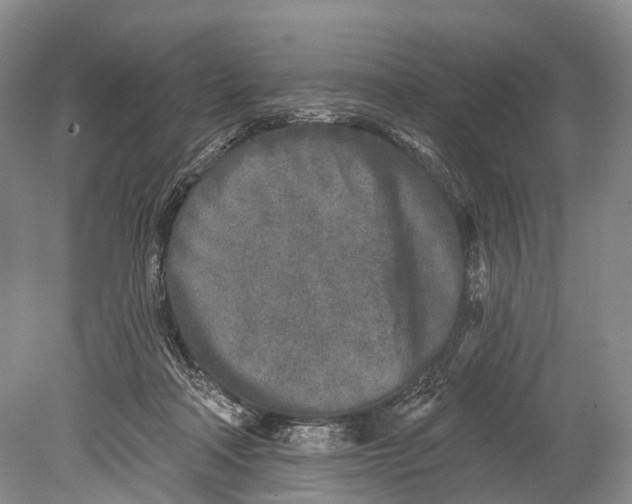 X0000078830314200612041820