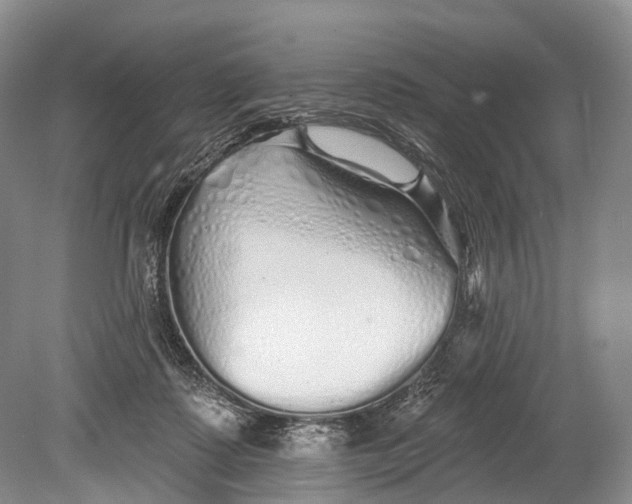 X0000078830315200612041820