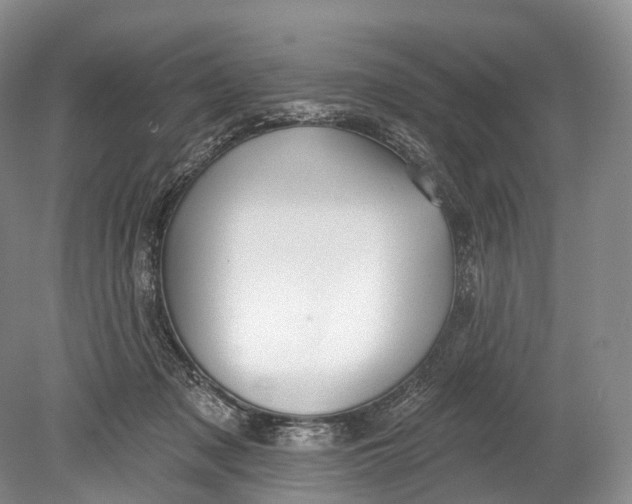 X0000078830317200612041820