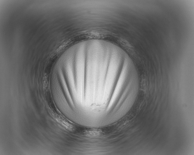 X0000078830318200612041820