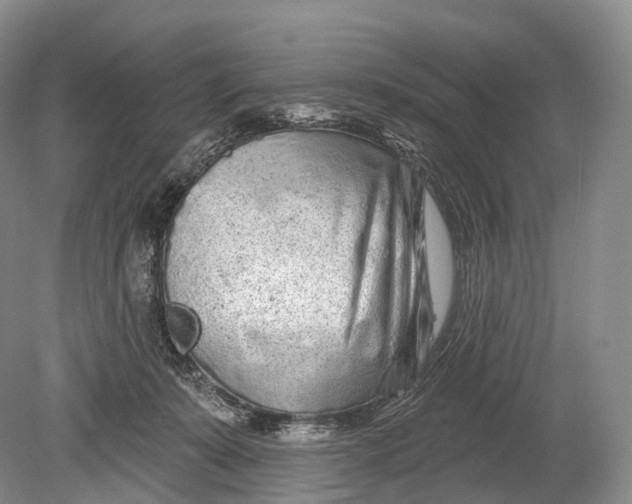 X0000078830319200612041820