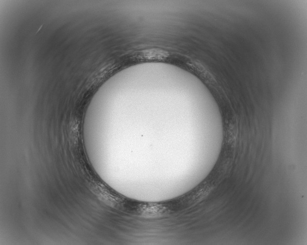 X0000078830321200612041820