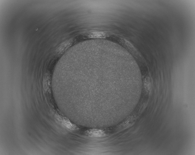 X0000078830322200612041820