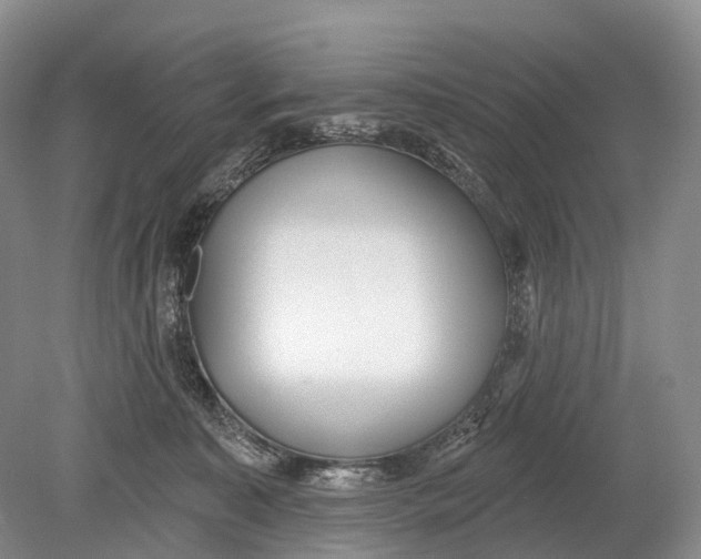 X0000078830323200612041820