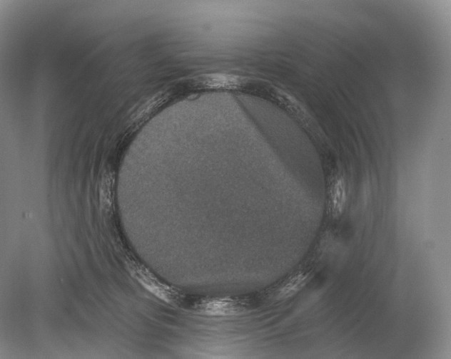 X0000078830325200612041820