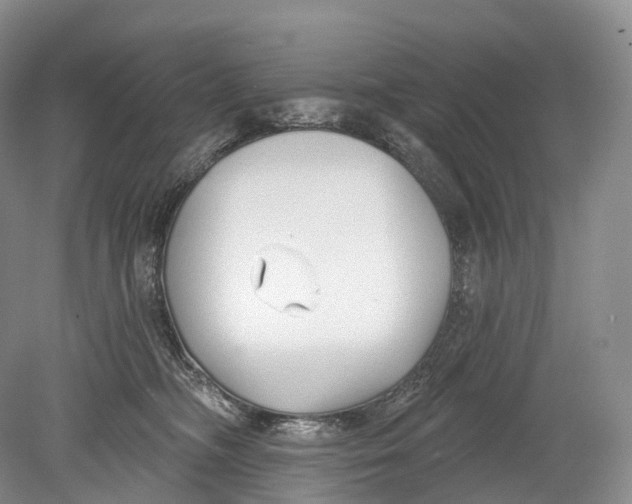 X0000078830326200612041820