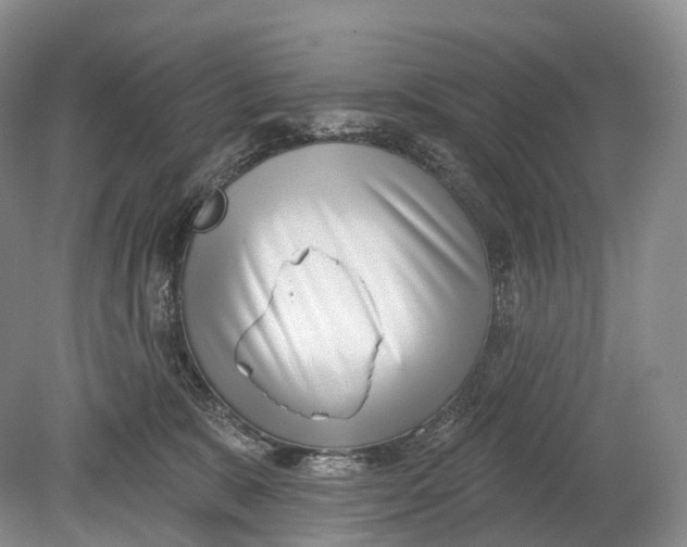 X0000078830327200612041820