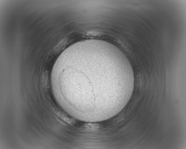 X0000078830328200612041820