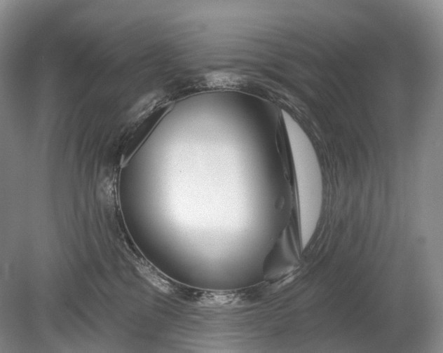 X0000078830329200612041820