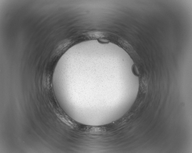 X0000078830330200612041820