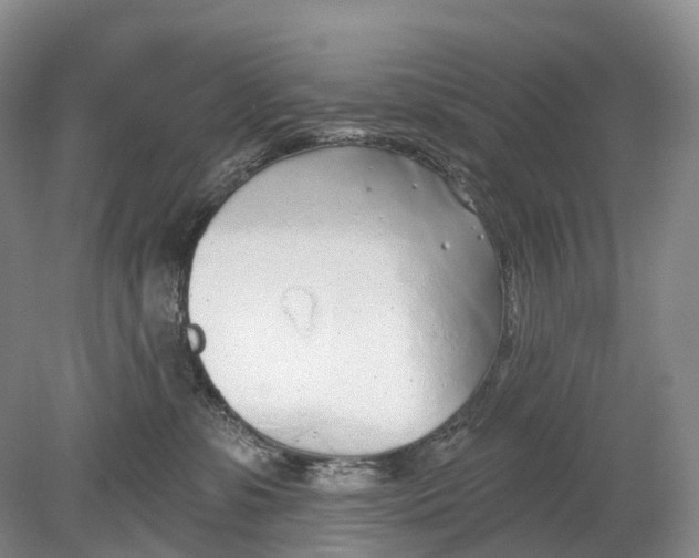 X0000078830331200612041820