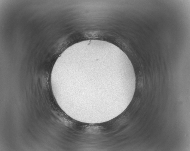 X0000078830332200612041820