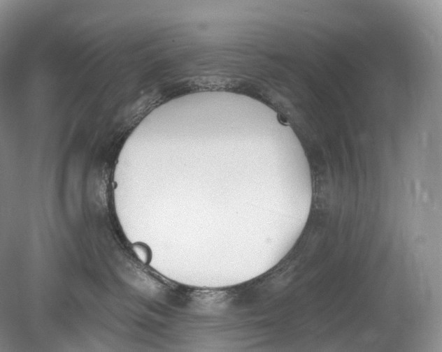 X0000078830334200612041820