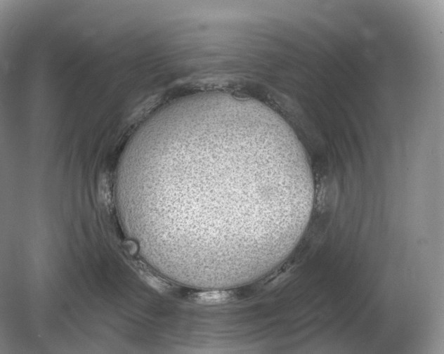 X0000078830335200612041820