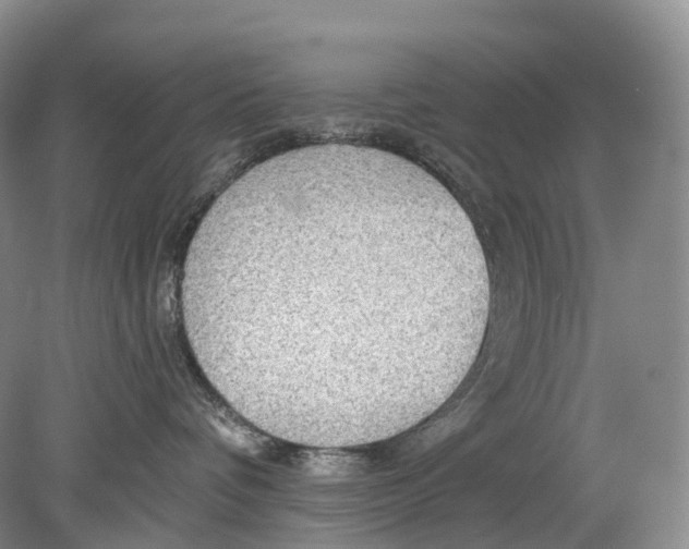 X0000078830336200612041820