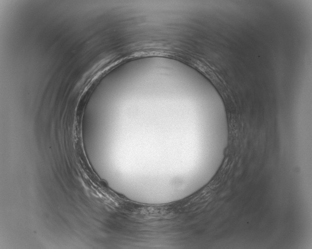 X0000078830338200612041819