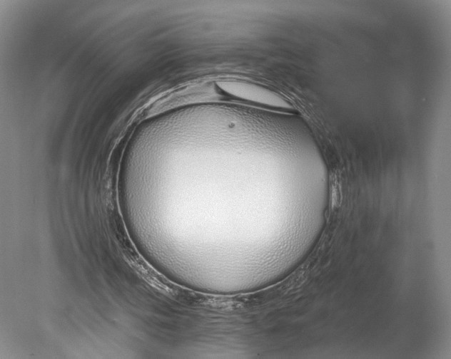 X0000078830339200612041819