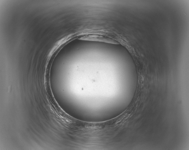 X0000078830340200612041819