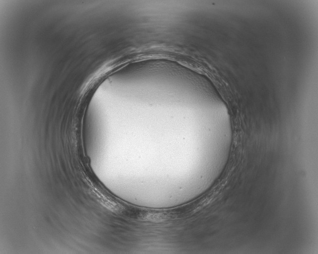 X0000078830341200612041819