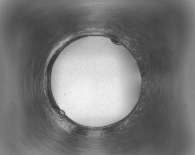 X0000078830342200612041819