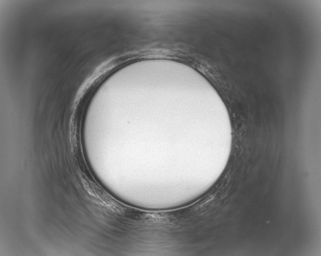 X0000078830343200612041819