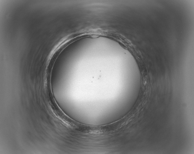 X0000078830344200612041819