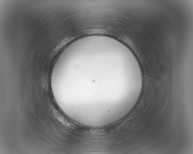 X0000078830345200612041819