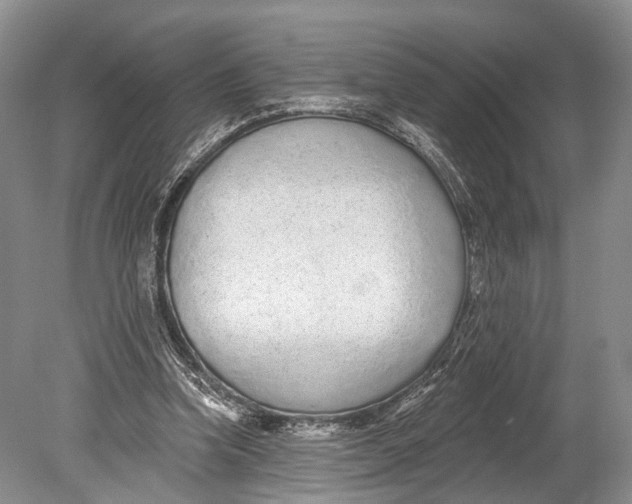 X0000078830346200612041819