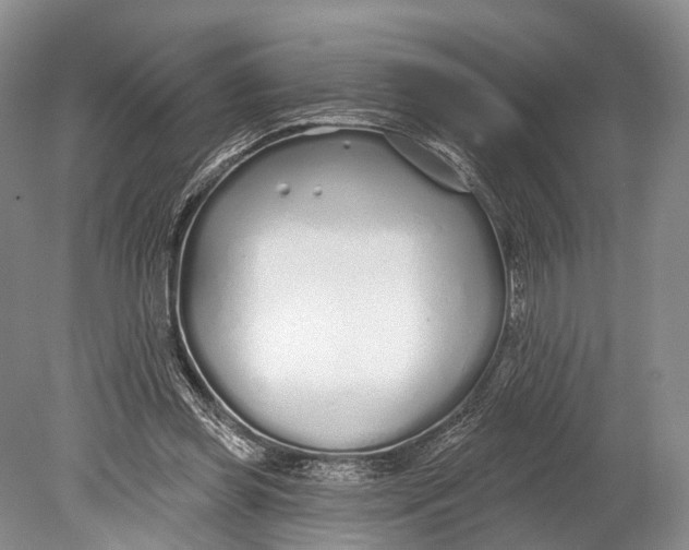 X0000078830349200612041819