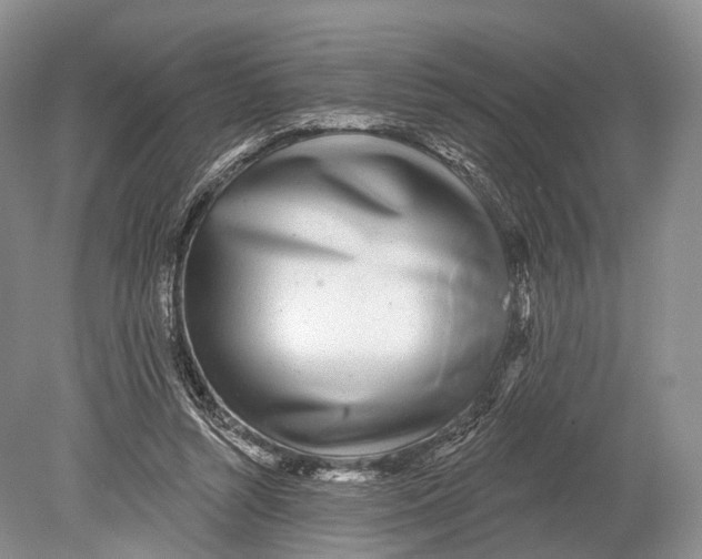 X0000078830352200612041819