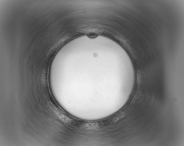 X0000078830353200612041819