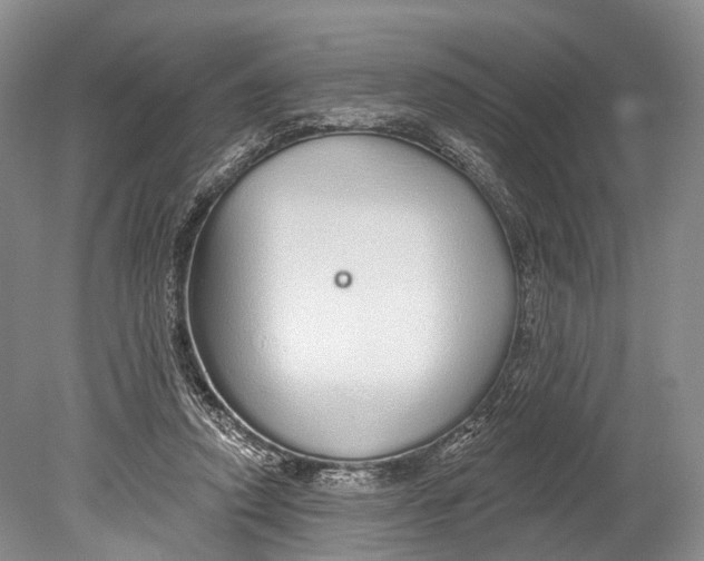 X0000078830354200612041819