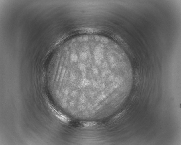 X0000078830355200612041819