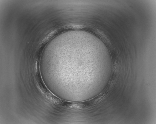 X0000078830358200612041819