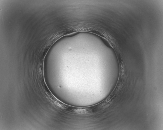 X0000078830361200612041819