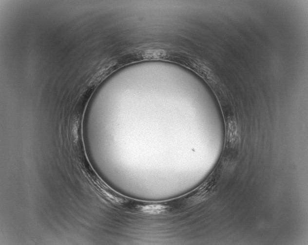 X0000078830363200612041819