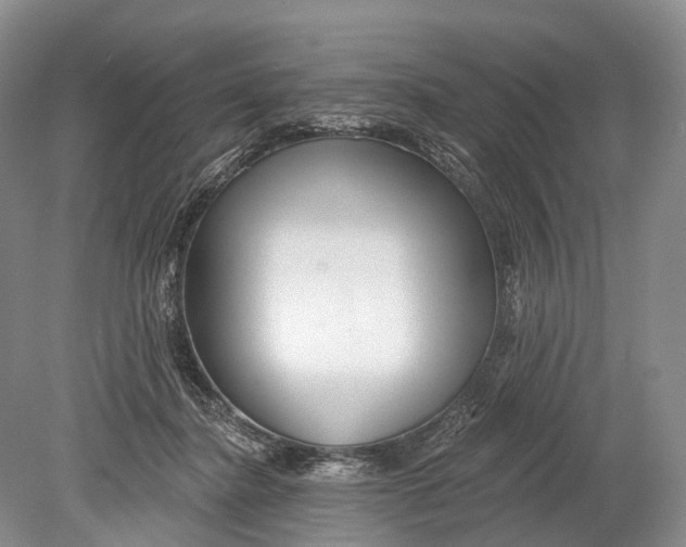 X0000078830364200612041819