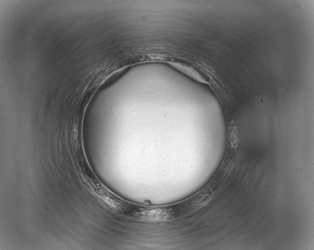 X0000078830365200612041819