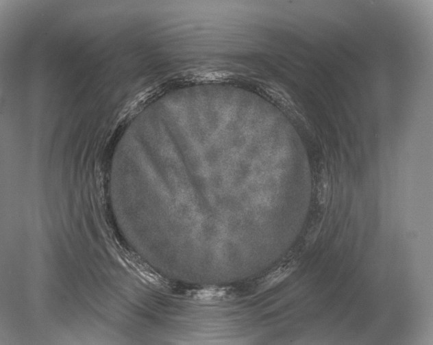 X0000078830366200612041819