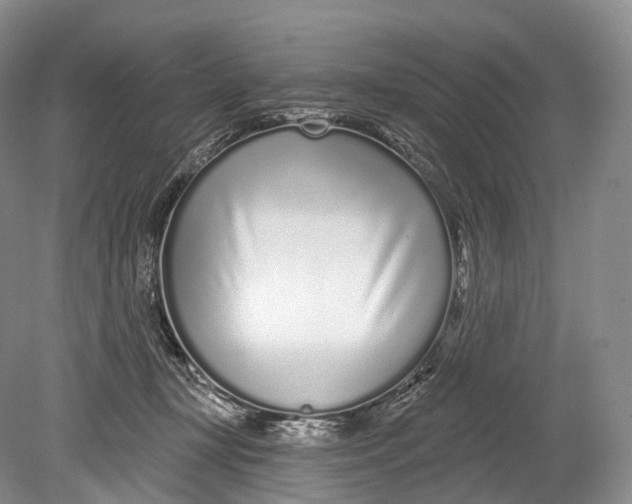 X0000078830367200612041819