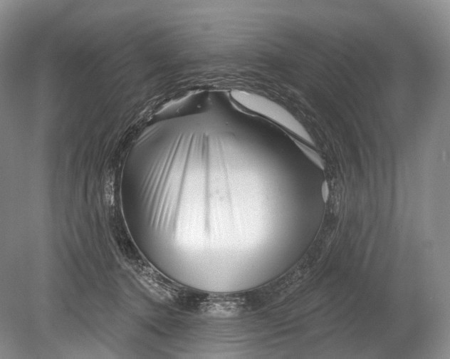 X0000078830368200612041819