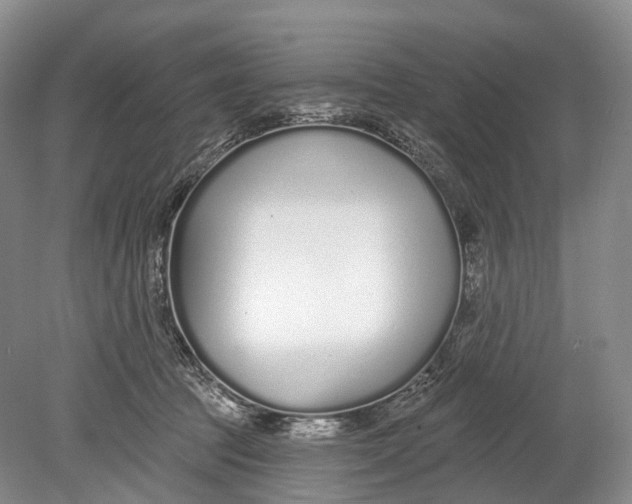 X0000078830369200612041819